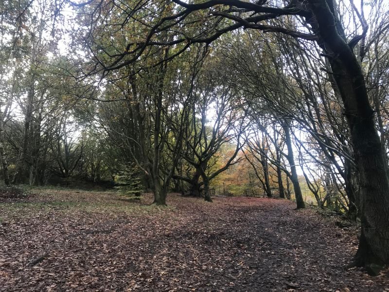 Untitled design - 2025-02-25T142644.032