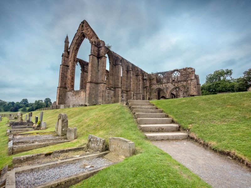 Untitled design - 2025-02-25T143300.106